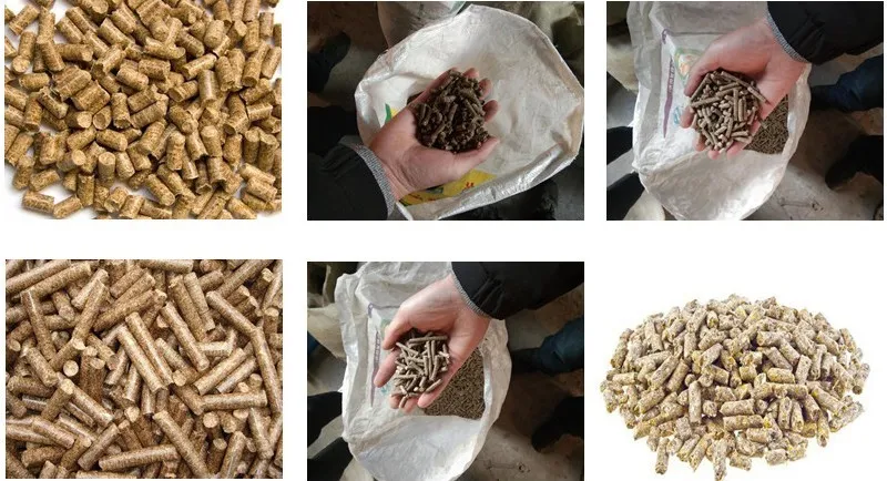 Biomass fuel production line Biomass fuel production line